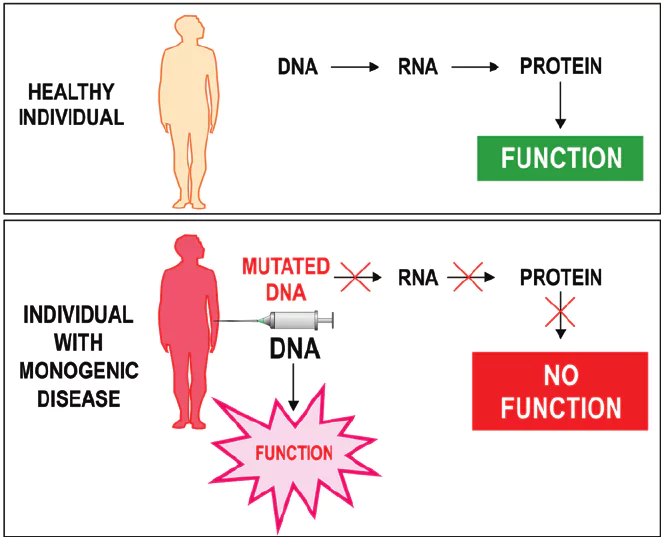 biotechnology in aesthetic medicine